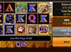 Jogos de video slot Hard Will Rock Jogos de video slot Hard Will Rock