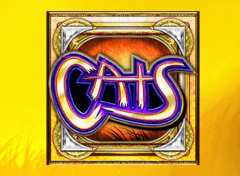 cool cats casino free spins