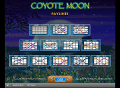 Coyote Moon Slot Paylines