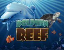 Dolphin Reef Dolphin Reef