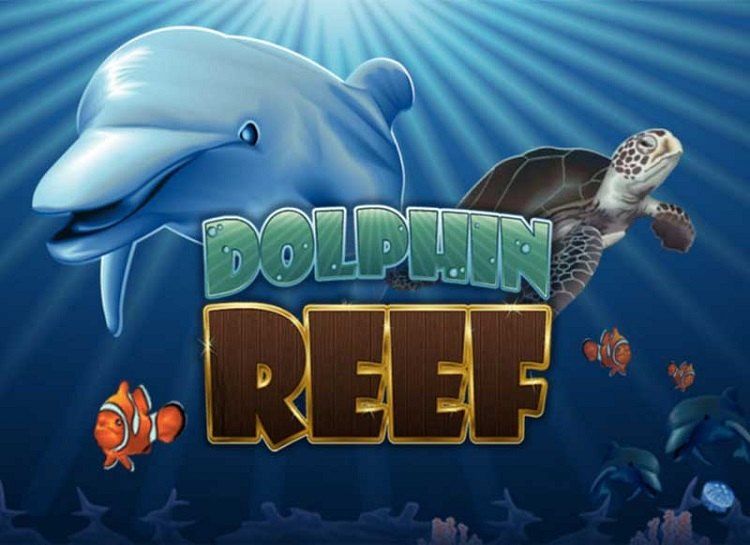 Play Dolphin Reef Free Slot Game
