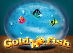 goldfish casino gamehunters