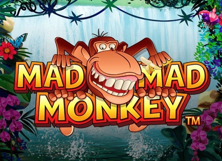 Play Mad Mad Monkey Free Slot Game
