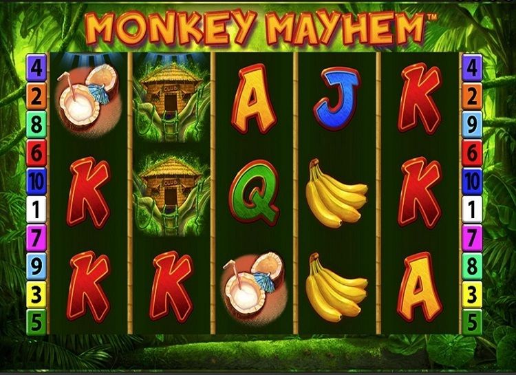 Play Monkey Money Free Slot Game, slot game monkey.