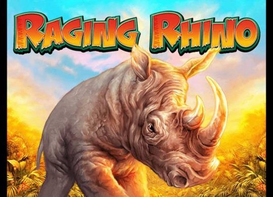 Rhino