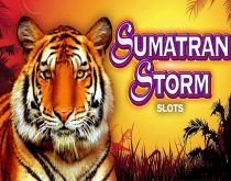 Sumatran Storm