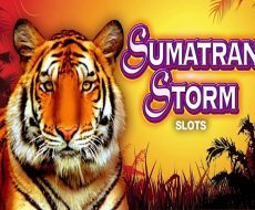 Sumatran Storm Sumatran Storm