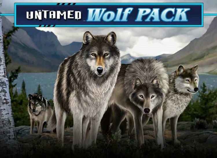 wolf pack games free online everone v