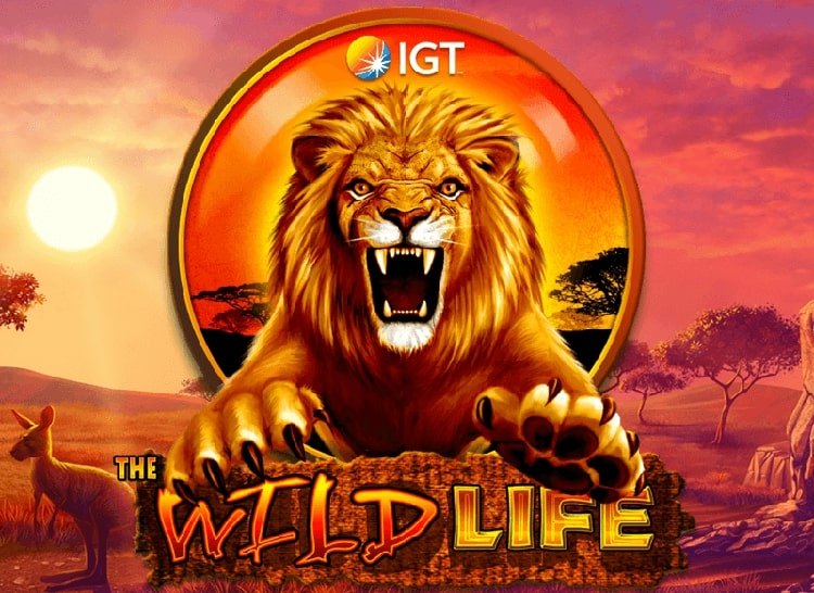 Play Wild Life Free Slot Game