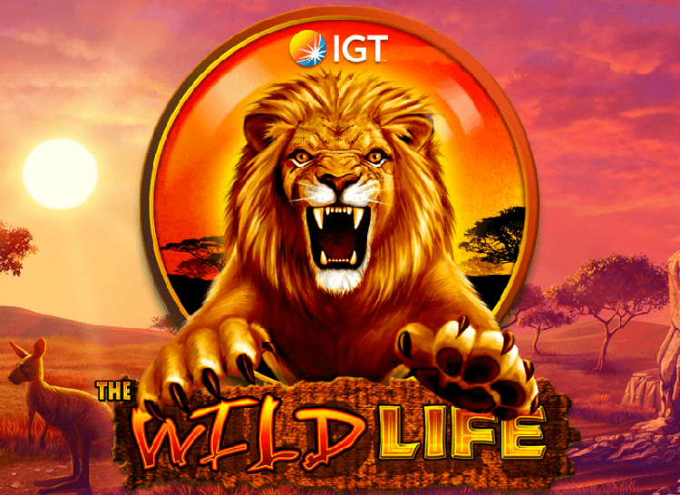 Play Free Wild Life Slot Machine Online ⇒ [ITG Game]