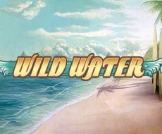 Wild Water Wild Water