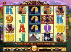 free online casino slots wolf run
